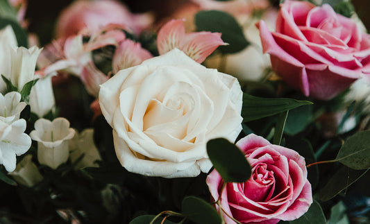 Mothers Day Gift Ideas