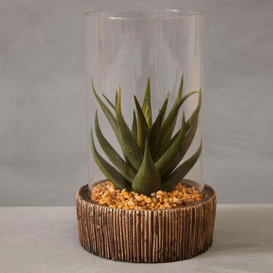 Fiori Small Succulent with Natural Stone Base