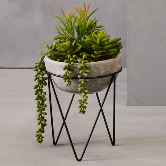 Fiori Mixed Succulent Planter with Metal Stand