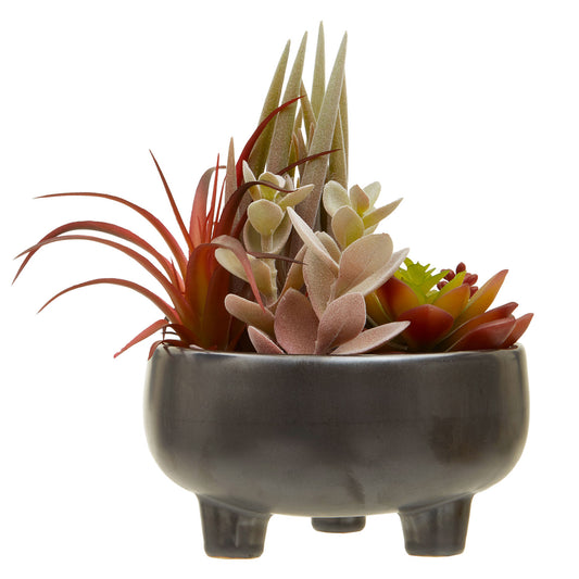 Fiori Mixed Succulents In Large Grey Ceramic Pot