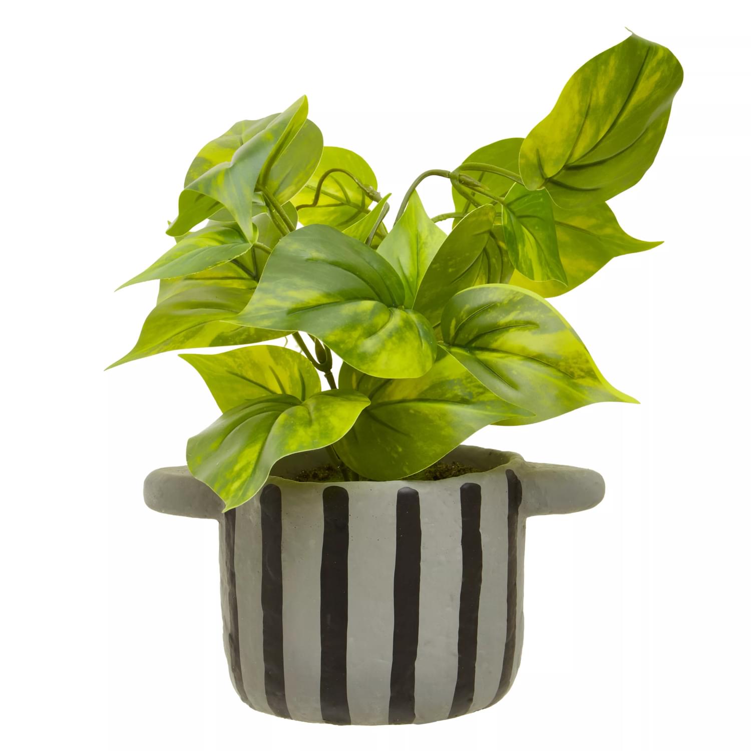 Fiori Faux Devils Ivy Julian Charles Home