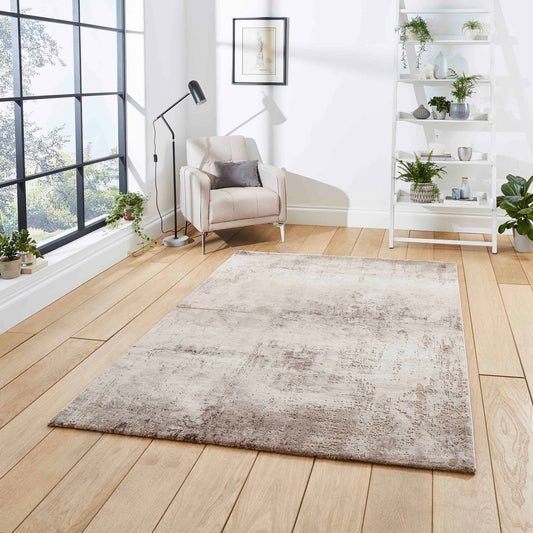 Florence 50034 Beige/Silver Rug