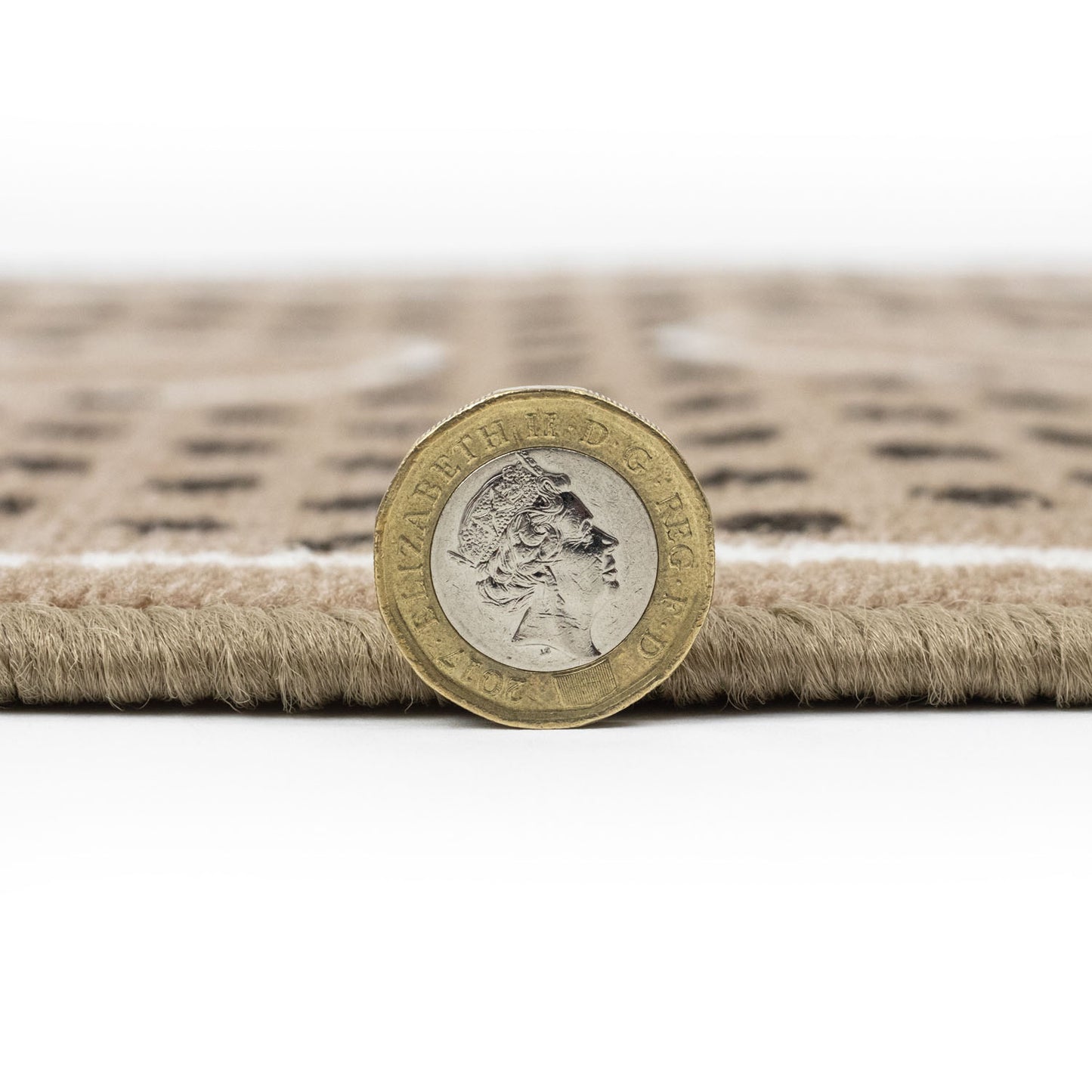 Dinner Time Paw Brown Pet Mat