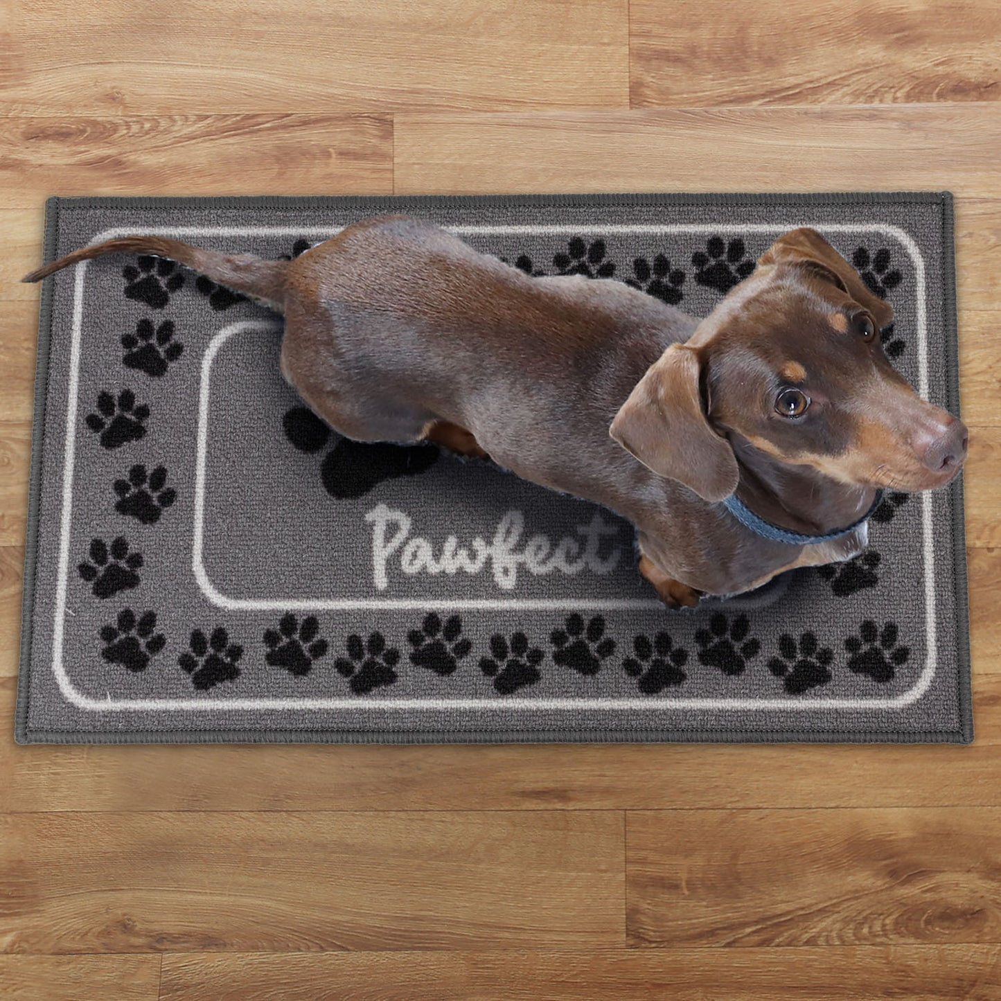 Pawfect Paw Print Grey Pet Mat