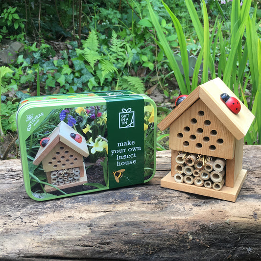 Apples To Pears Gift In A Tin Make Insect House