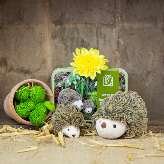 Apples To Pears Gift In A Tin Sew Me Up Hedgehogs