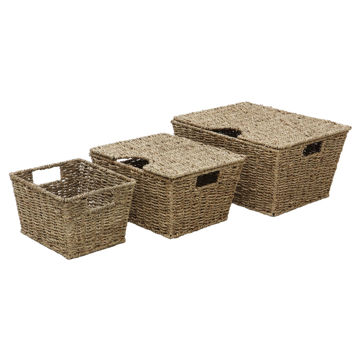 Seagrass Set Of 3 Rectangular Storage Baskets (2 With Lids)