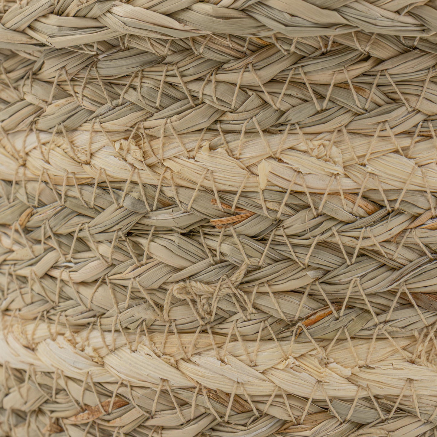 Palma Natural Set of 3 Natural Storage Baskets