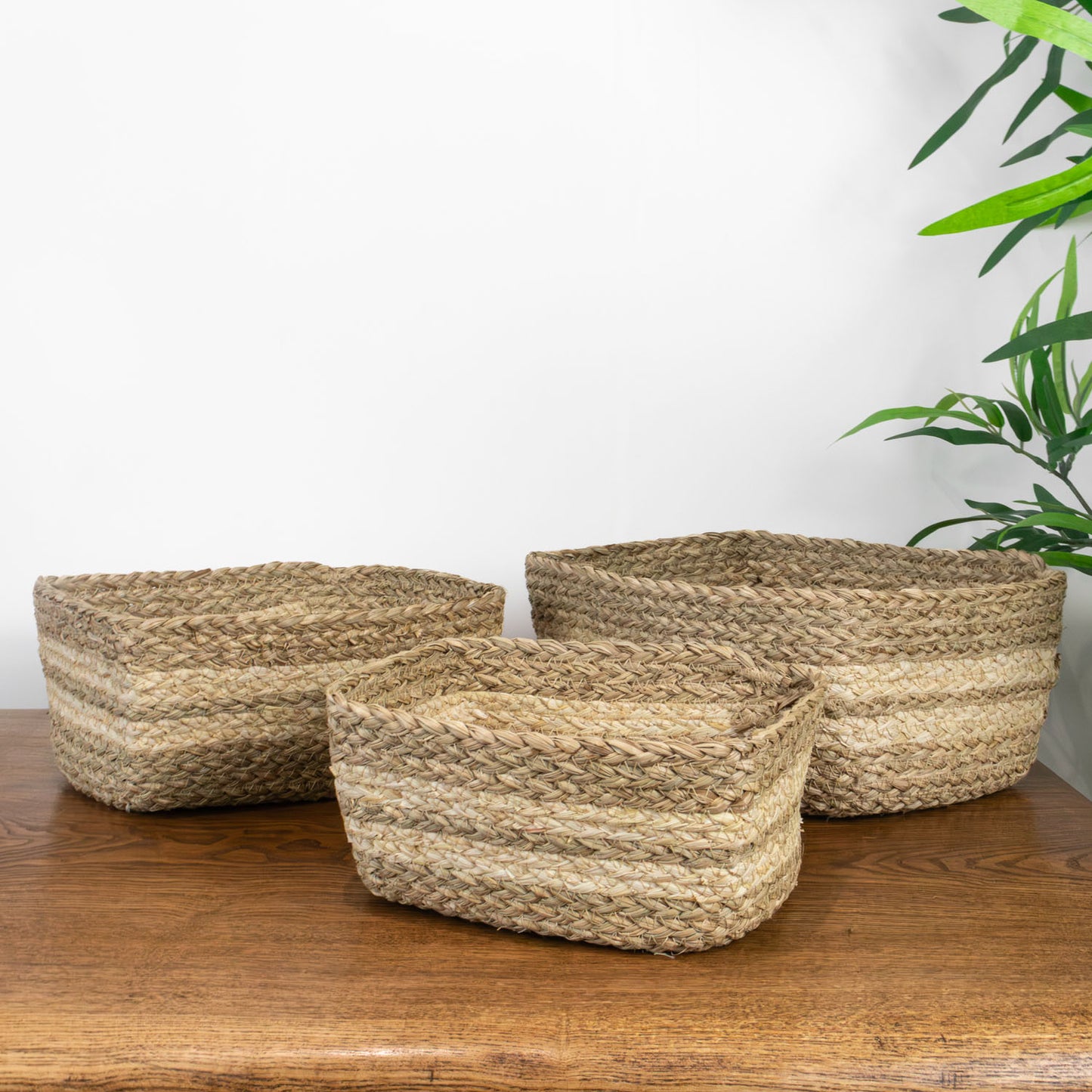 Palma Natural Set of 3 Natural Storage Baskets