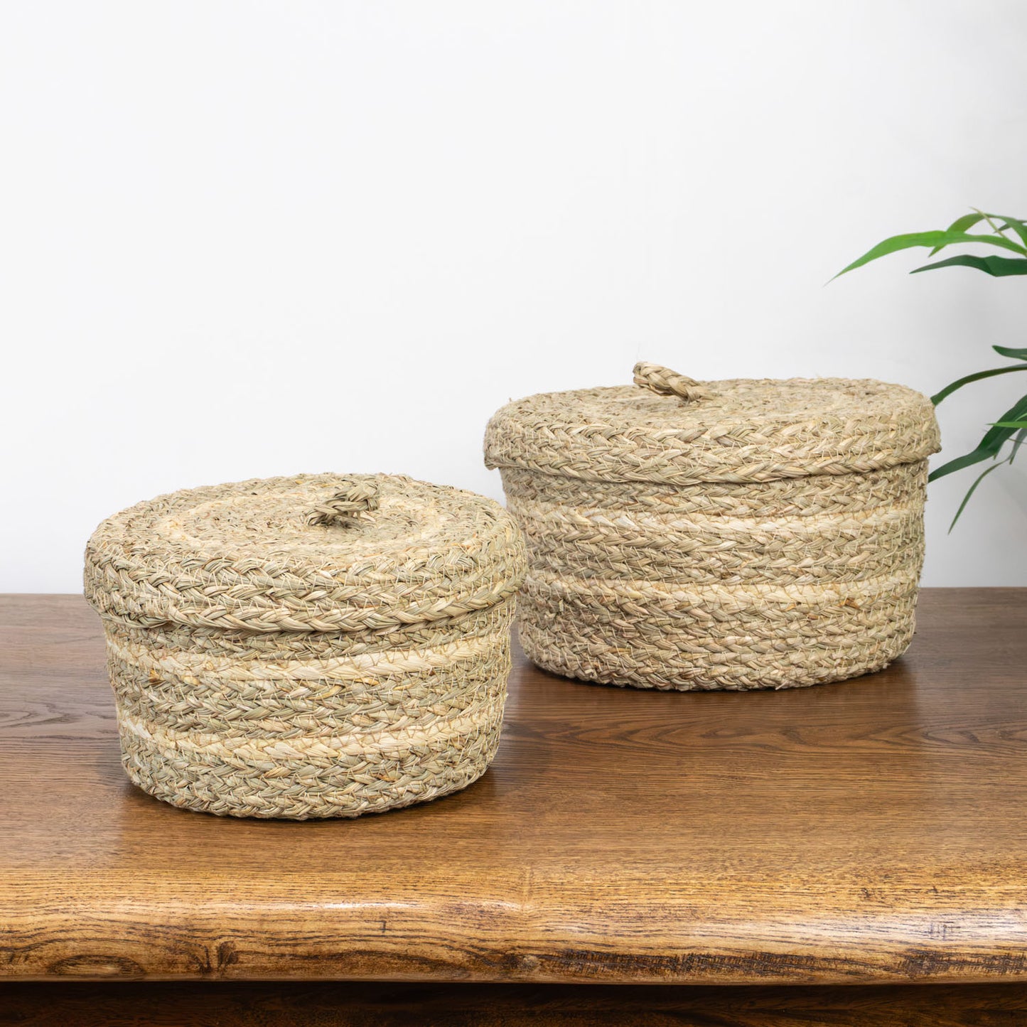 Palma Natural Set of 2 Round Storage Baskets with Lids