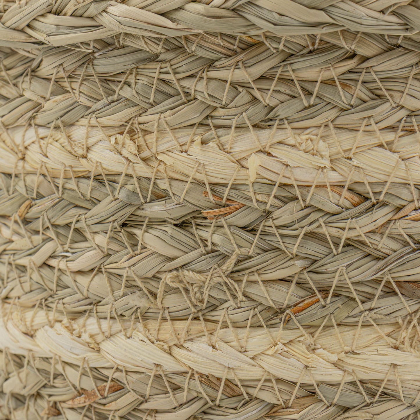 Palma Natural Large Rectangular Storage Basket