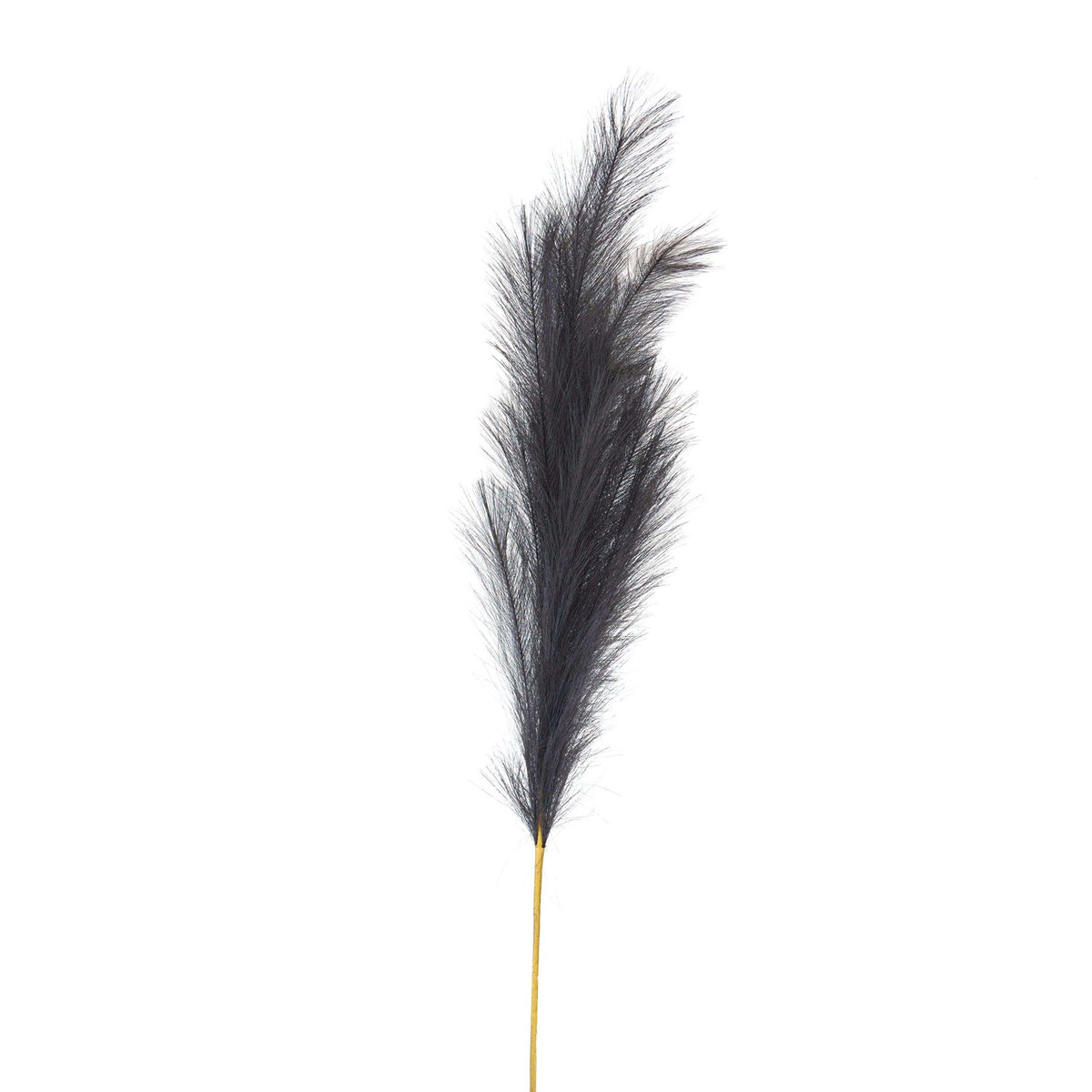 Large Faux Pampas Grass Stem
