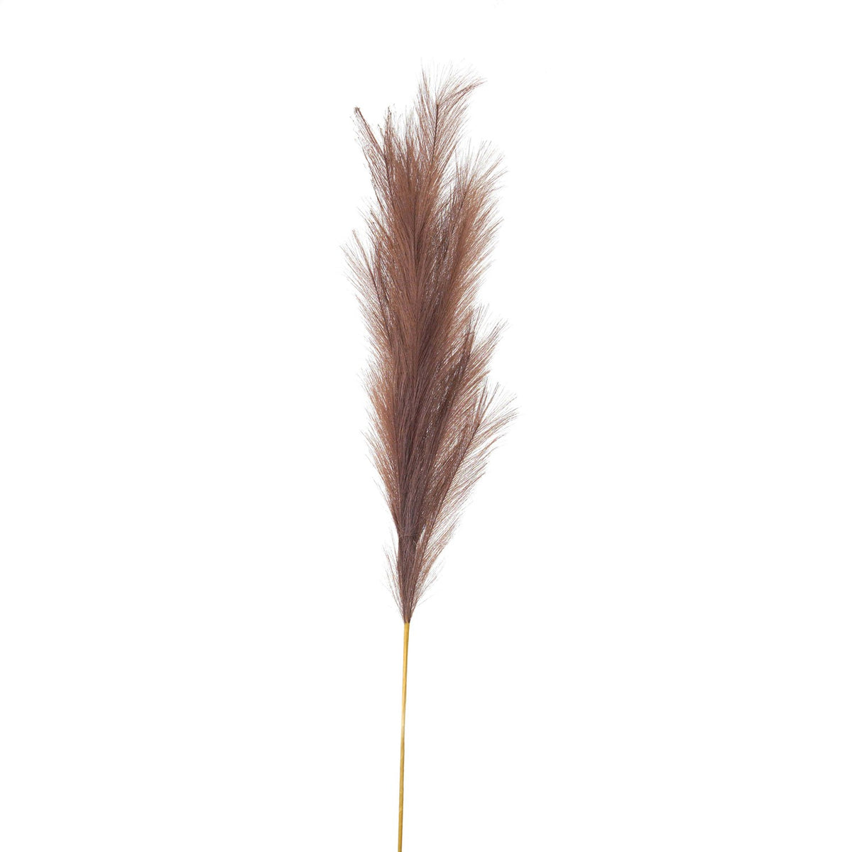 Large Faux Pampas Grass Stem