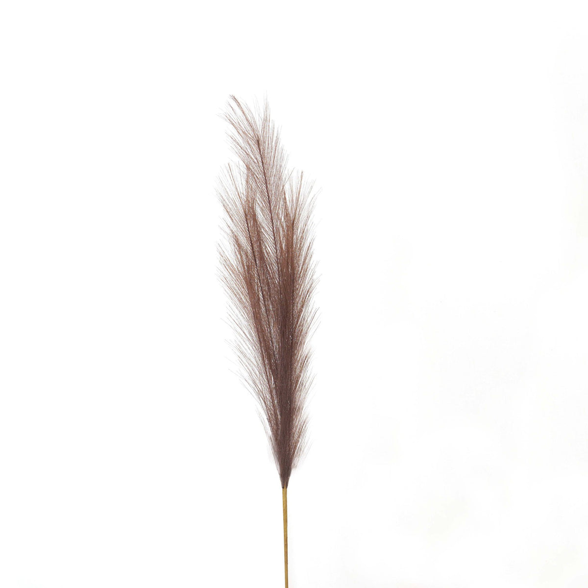 Faux Pampas Grass Stem