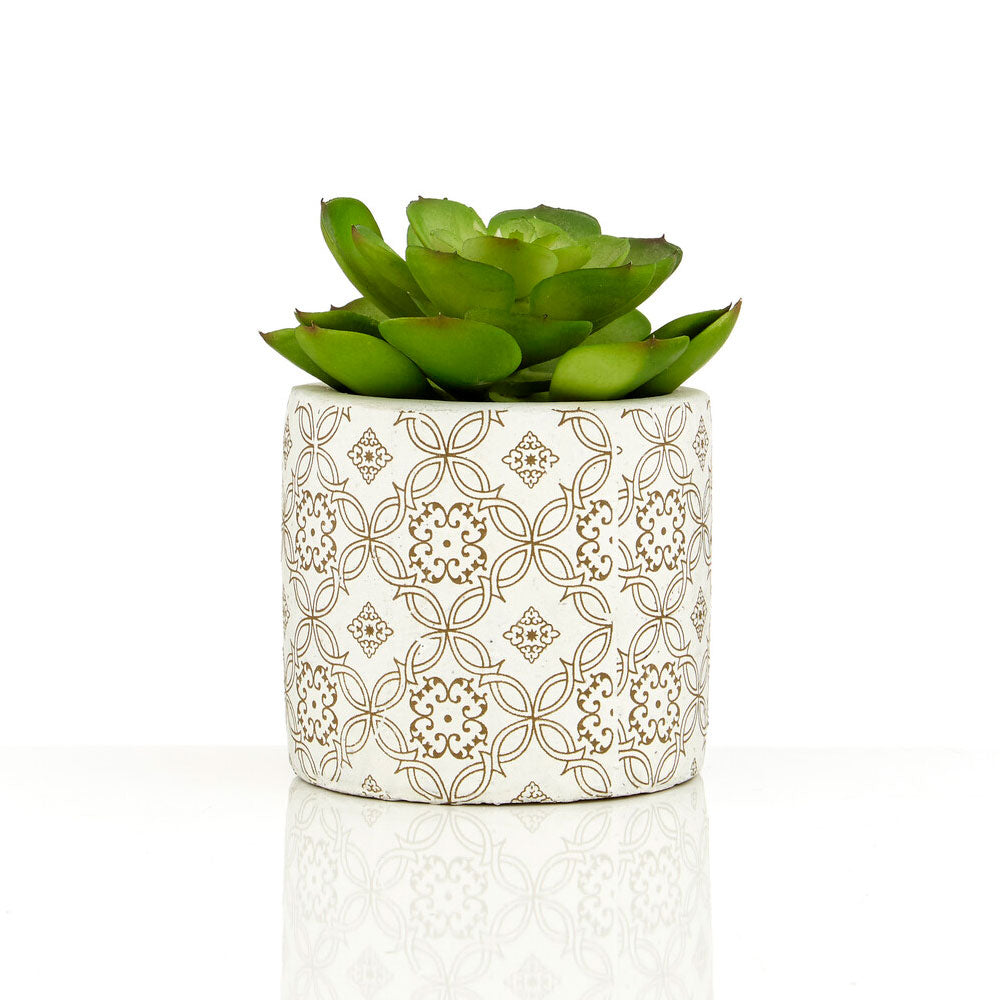 Fiori Set of 3 Succulents in Henna Ceramic Pots
