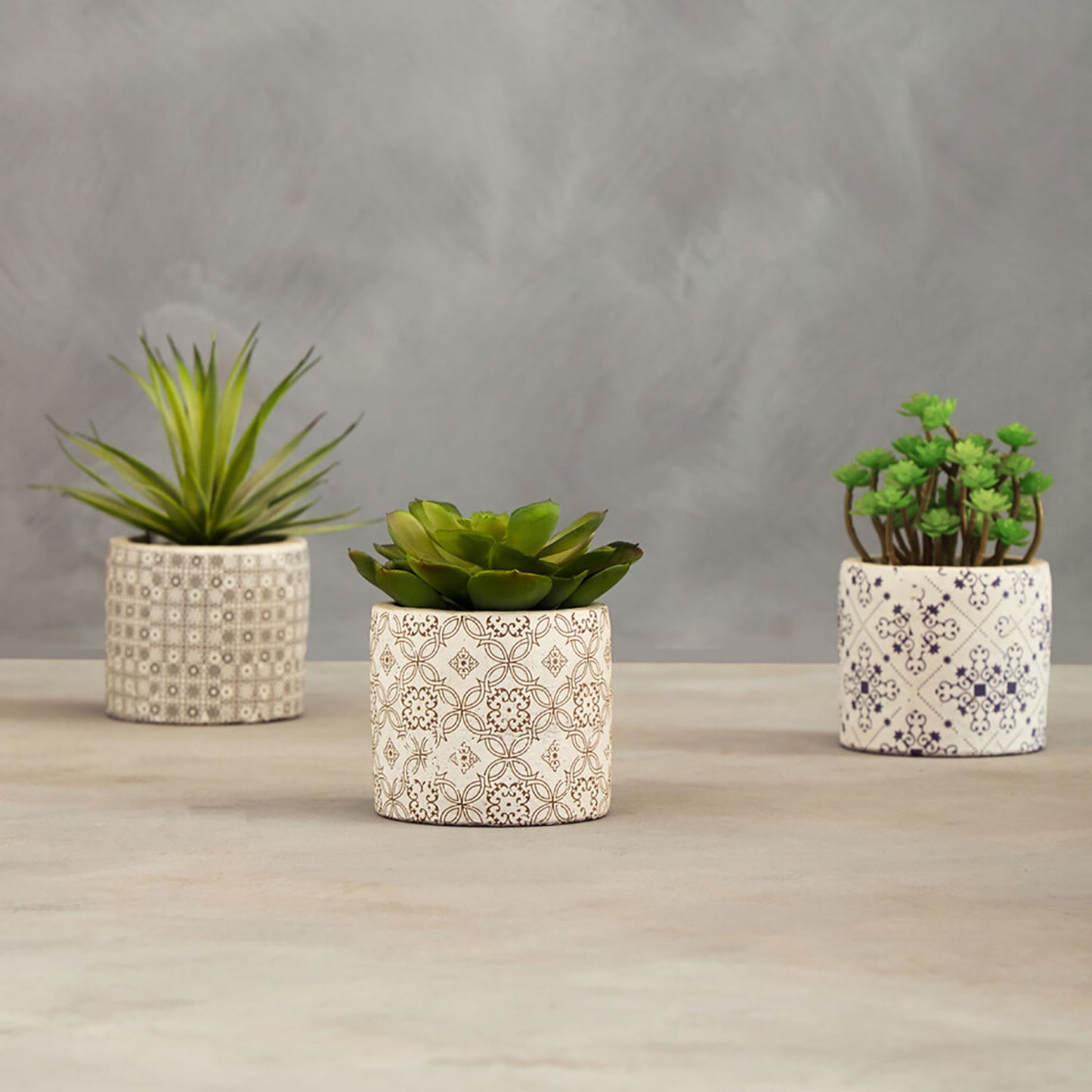 Fiori Set of 3 Succulents in Henna Ceramic Pots