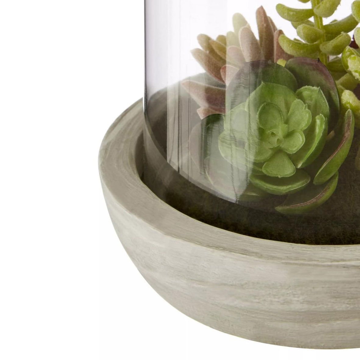 Fiori Large Succulent Dome Cement Base