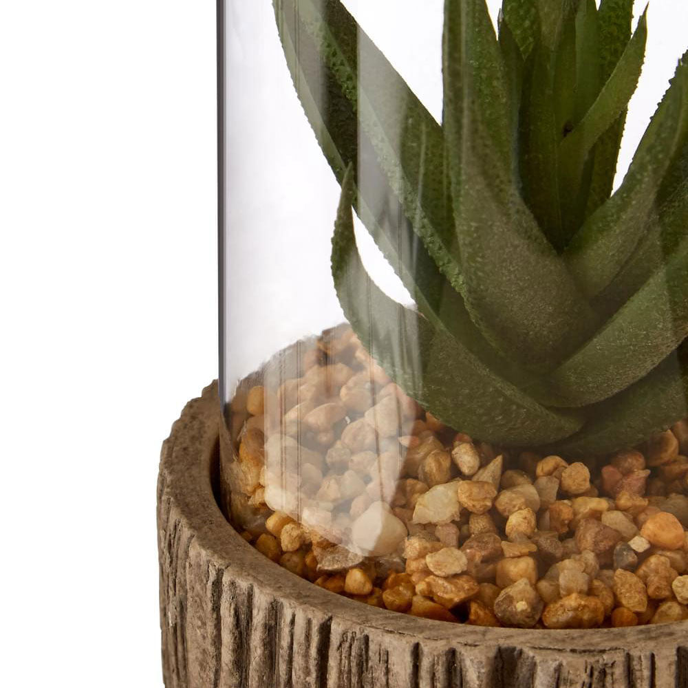 Fiori Small Succulent with Natural Stone Base