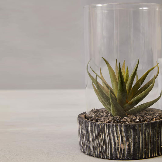 Fiori Large Succulent with Black Stone Base