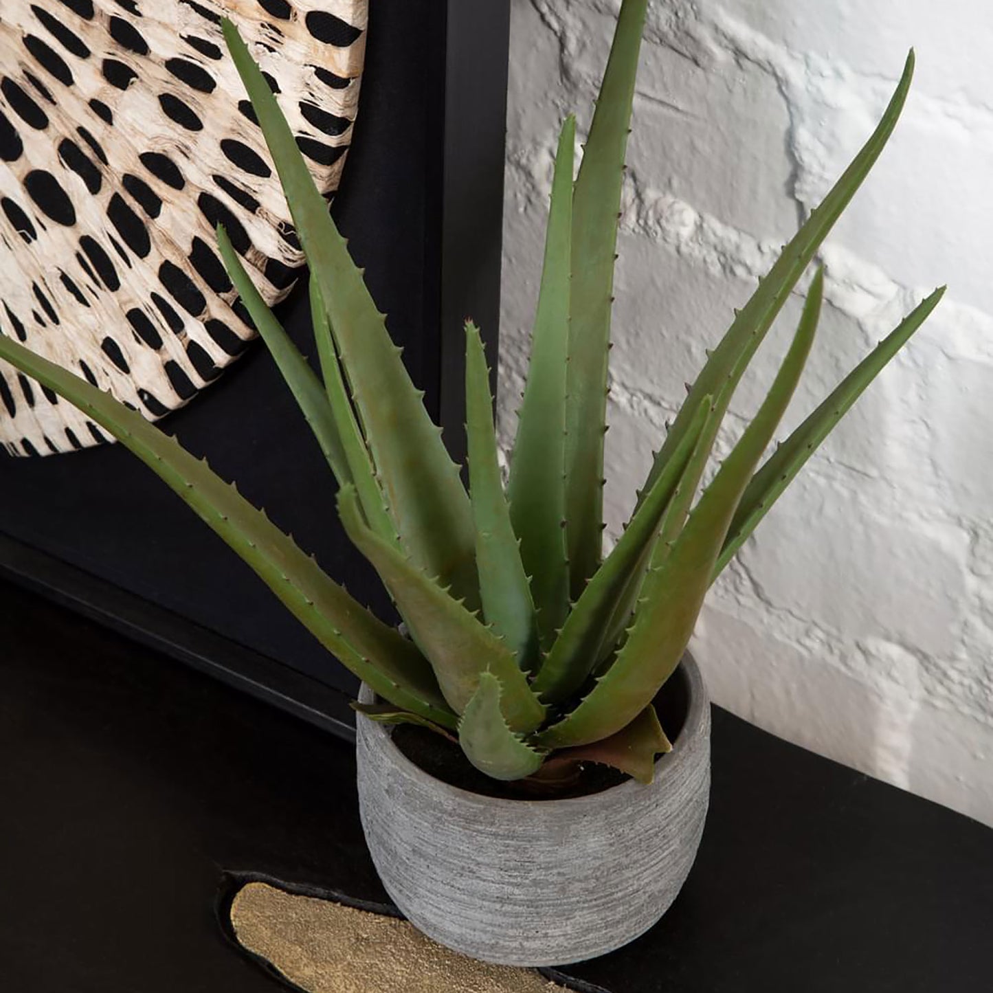 Fiori Large Aloe Vera with Cement Pot