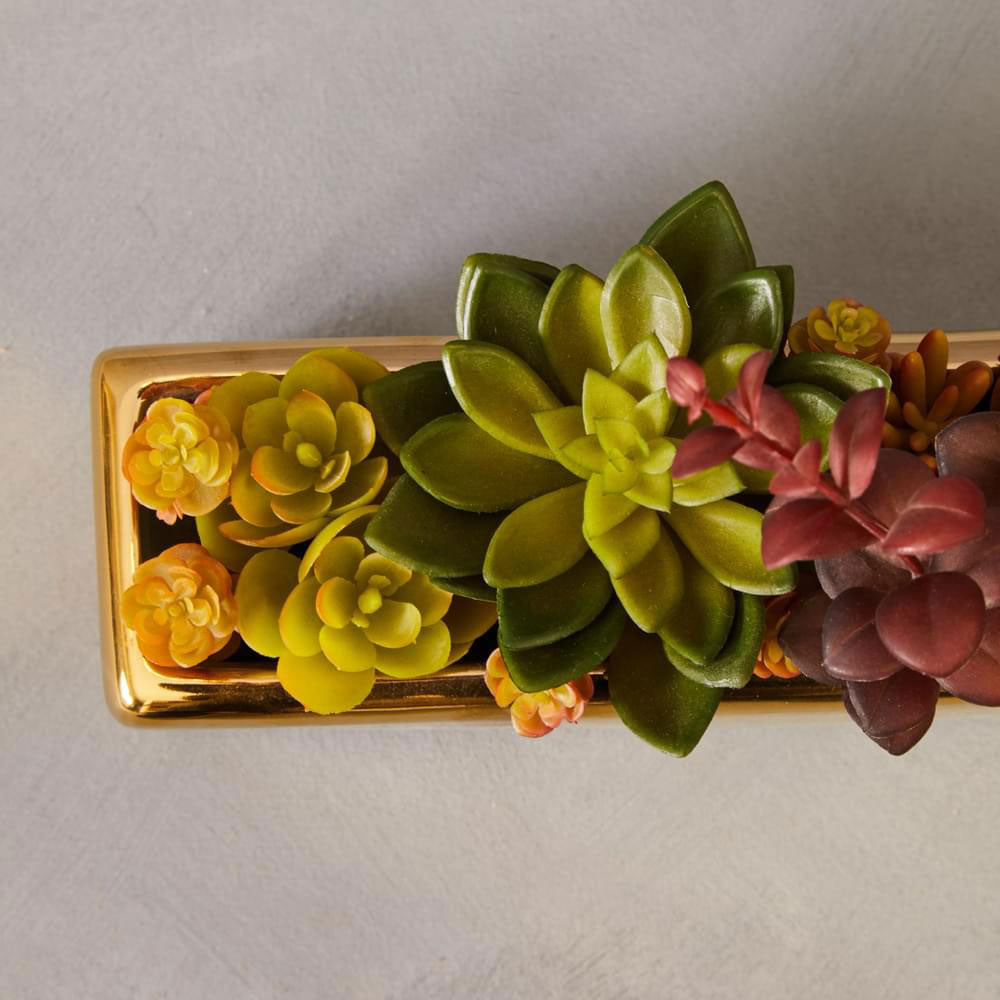 Fiori Mixed Succulents with Ceramic Gold Pot