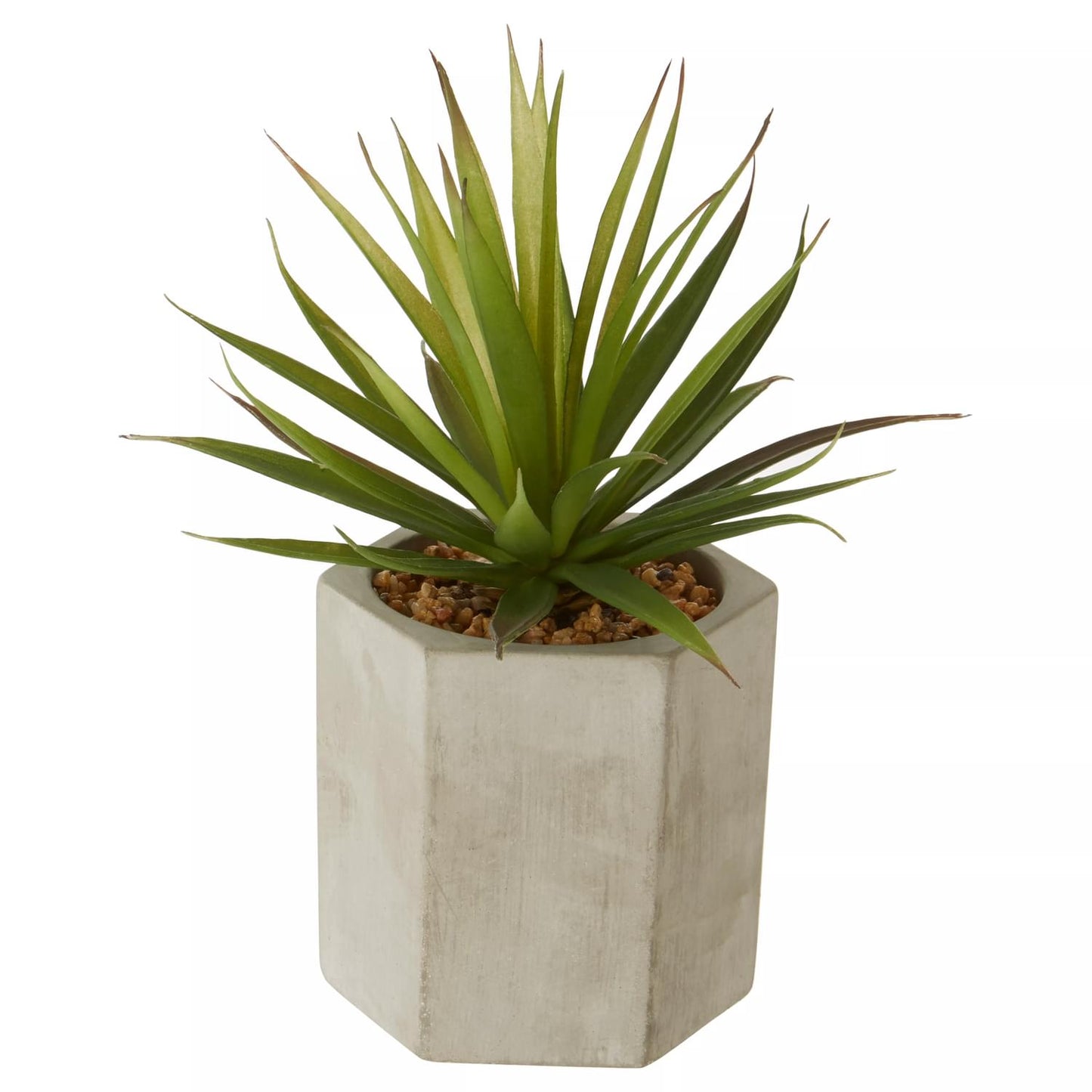 Fiori Sword Grass in Hexagonal Cement Planter