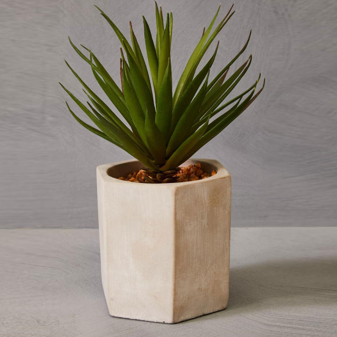 Fiori Sword Grass in Hexagonal Cement Planter