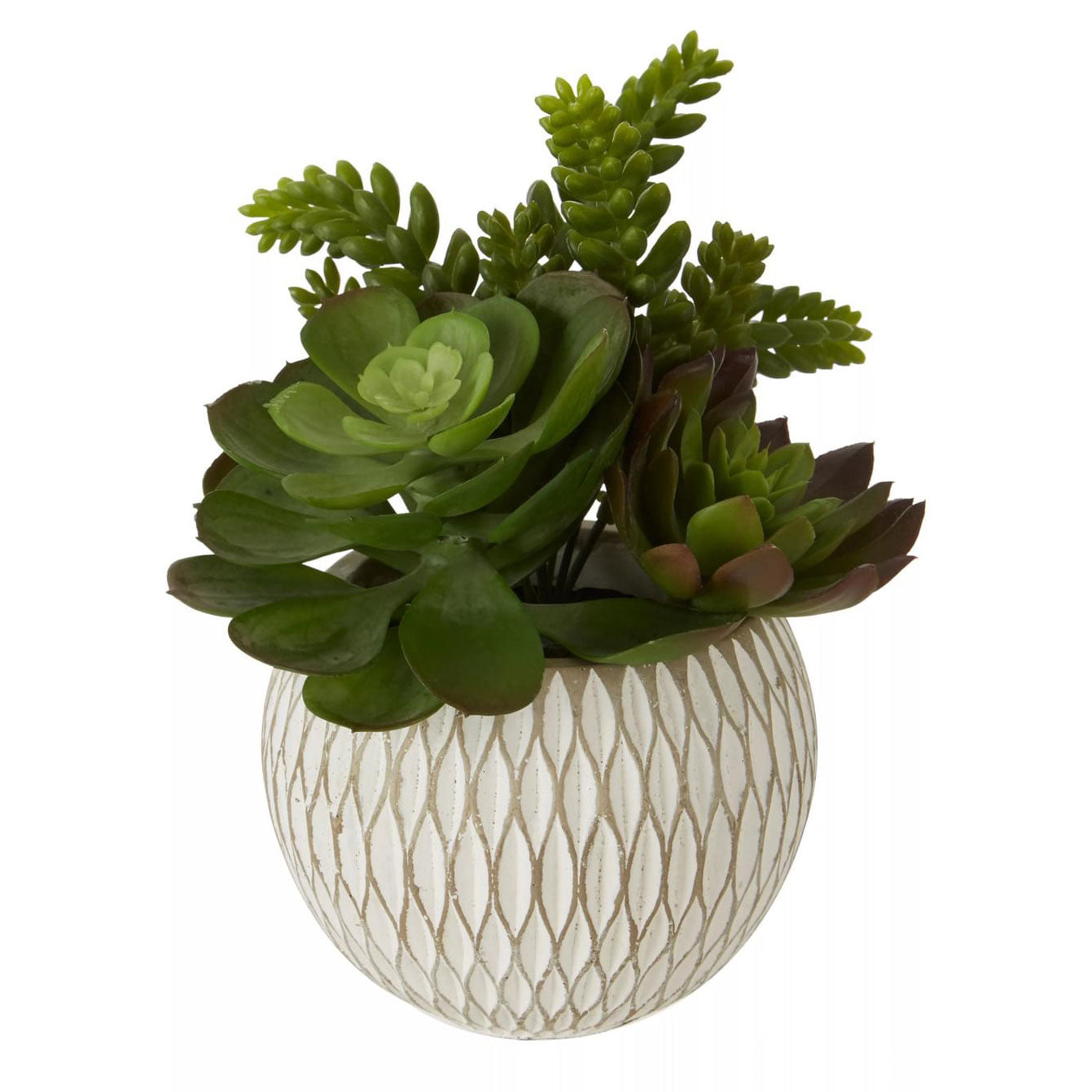 Fiori White Round Pot Mixed Succulent