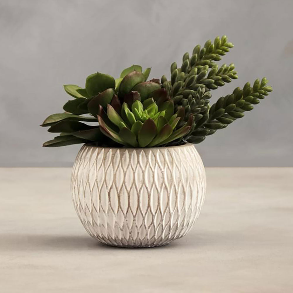 Fiori White Round Pot Mixed Succulent