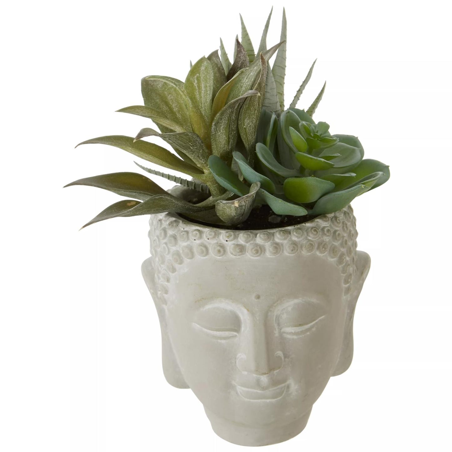 Fiori Buddha Pot Mixed Succulent