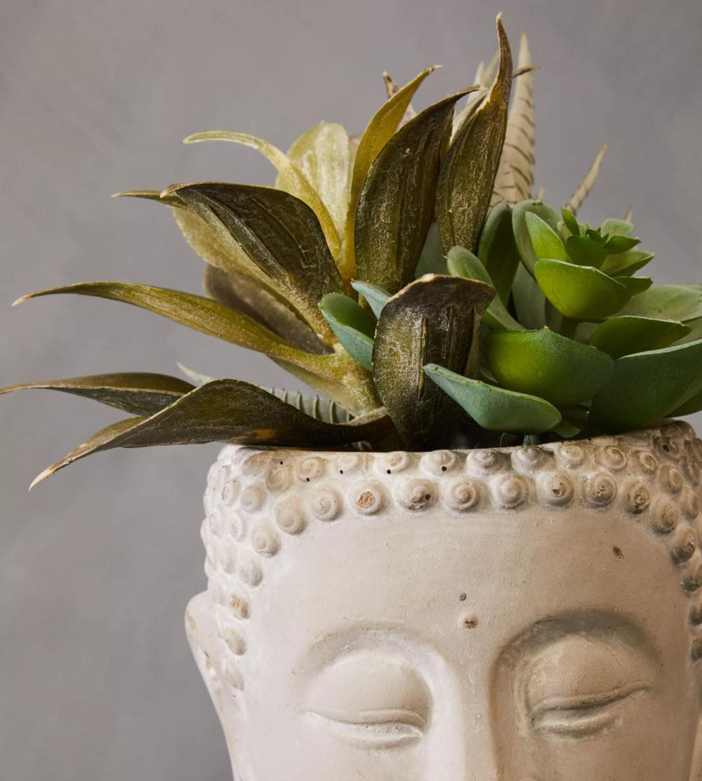 Fiori Buddha Pot Mixed Succulent