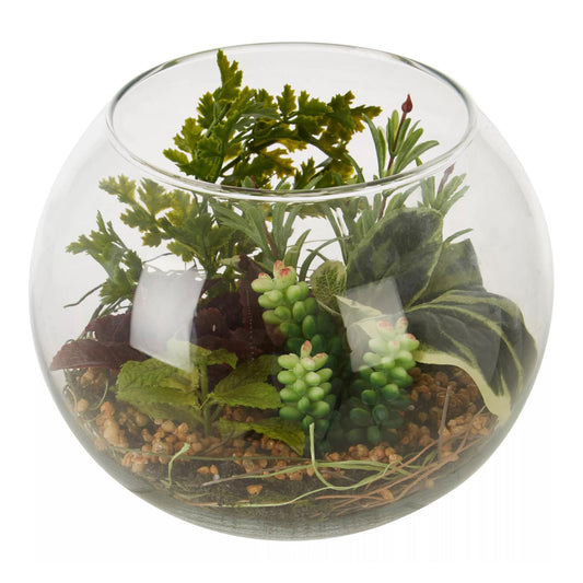 Fiori Large Glass Pot Mixed Succulent