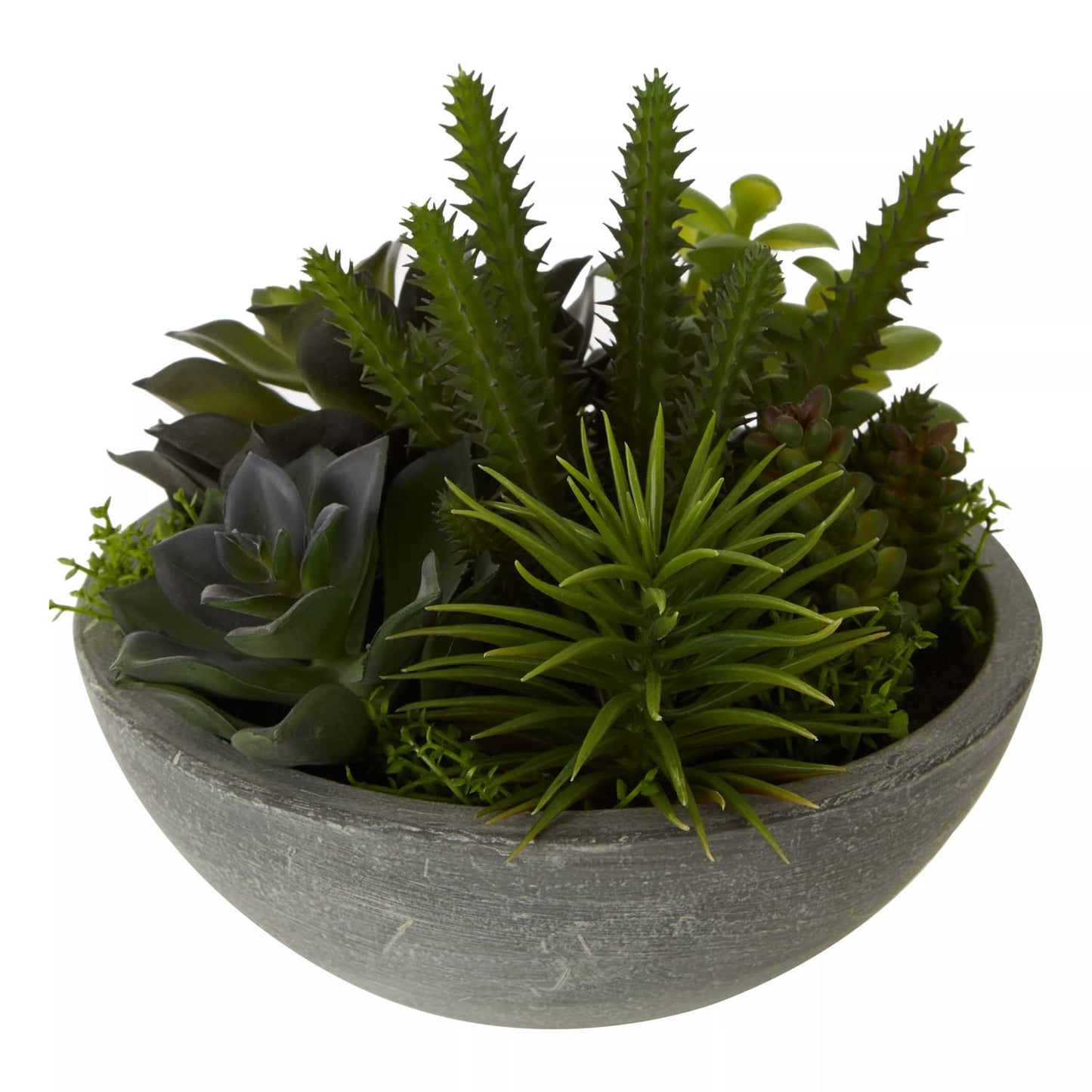 Fiori Mixed Succulent in Paper Stone Effect Pot