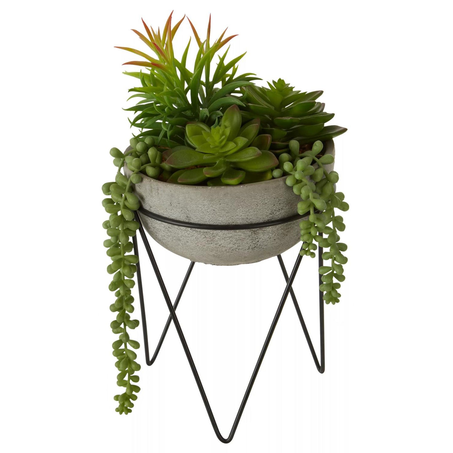 Fiori Mixed Succulent Planter with Metal Stand