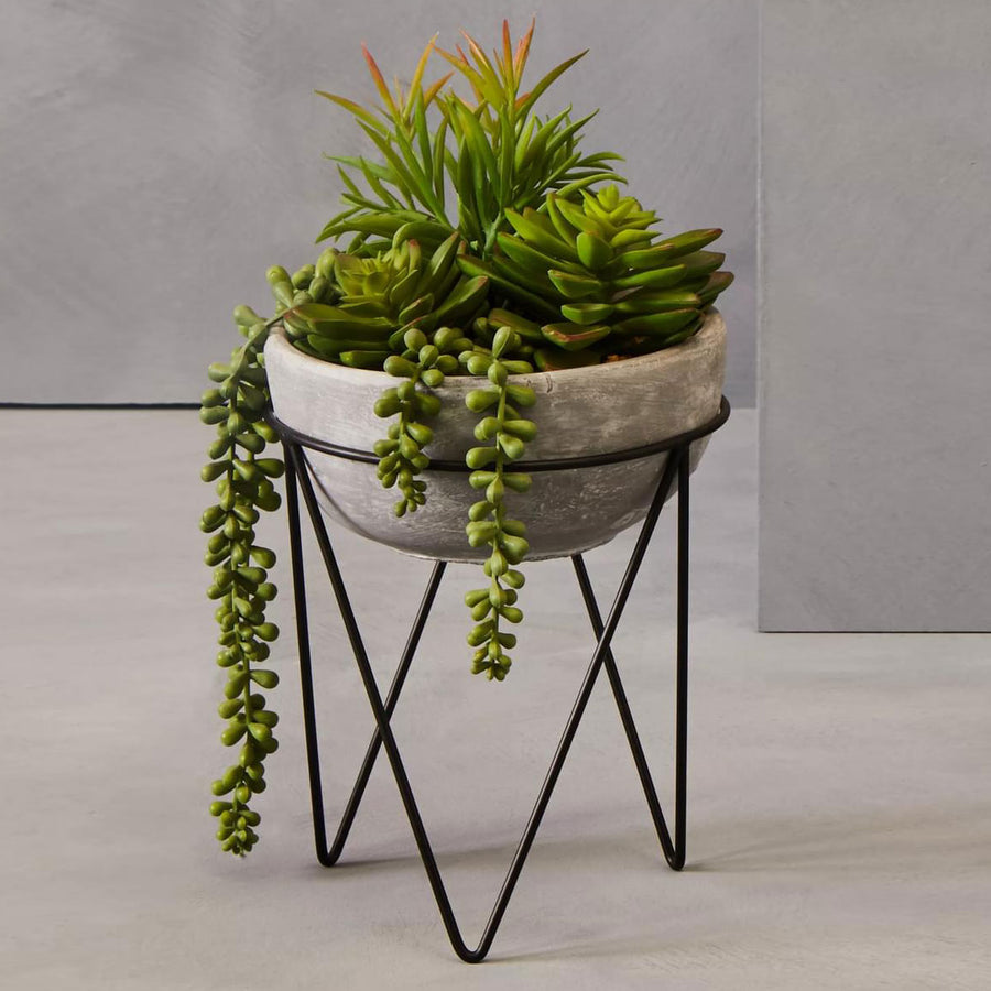 Fiori Mixed Succulent Planter with Metal Stand