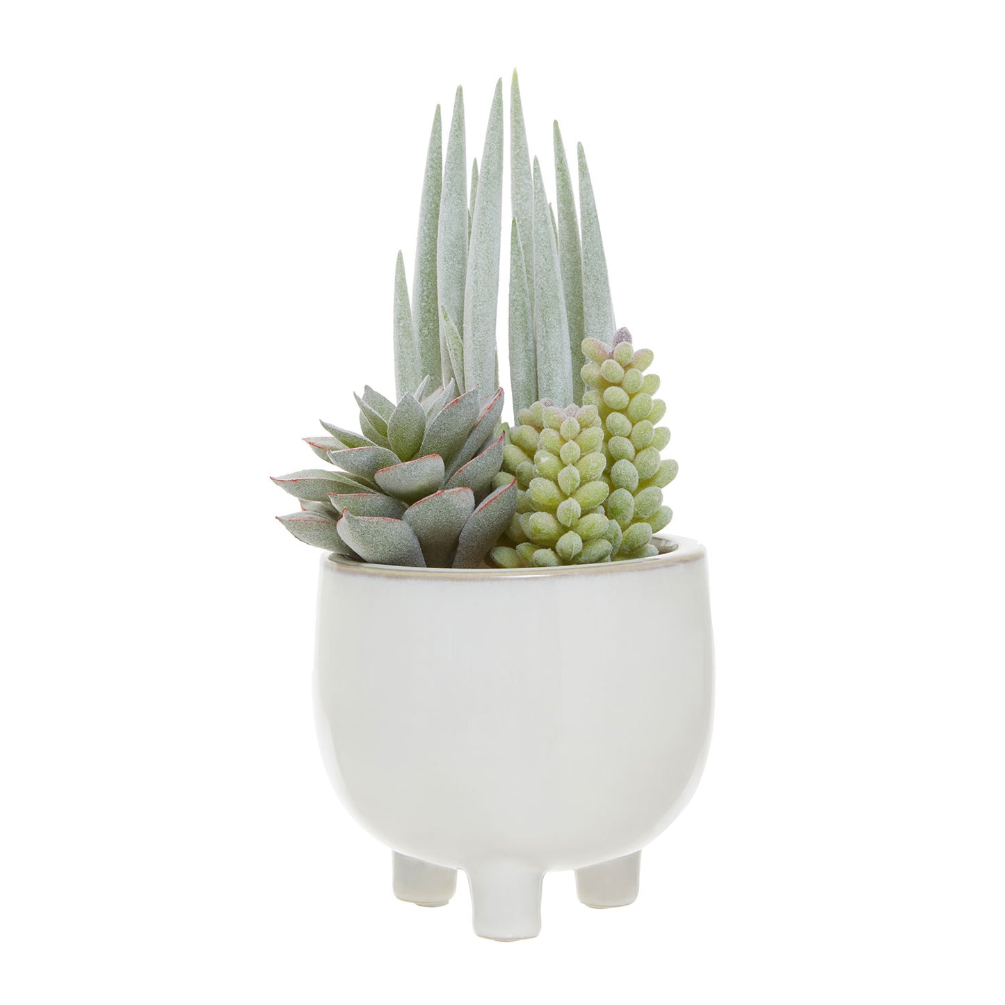 Fiori Mixed Succulents In White Ceramic Pot