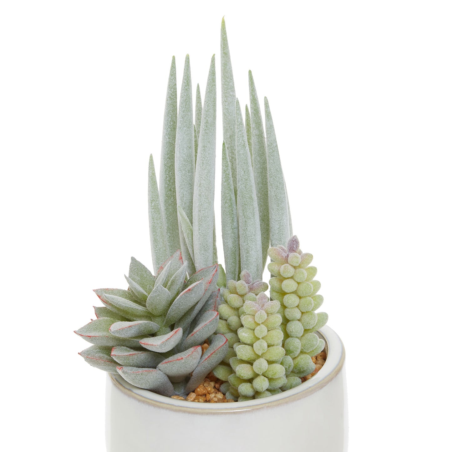 Fiori Mixed Succulents In White Ceramic Pot