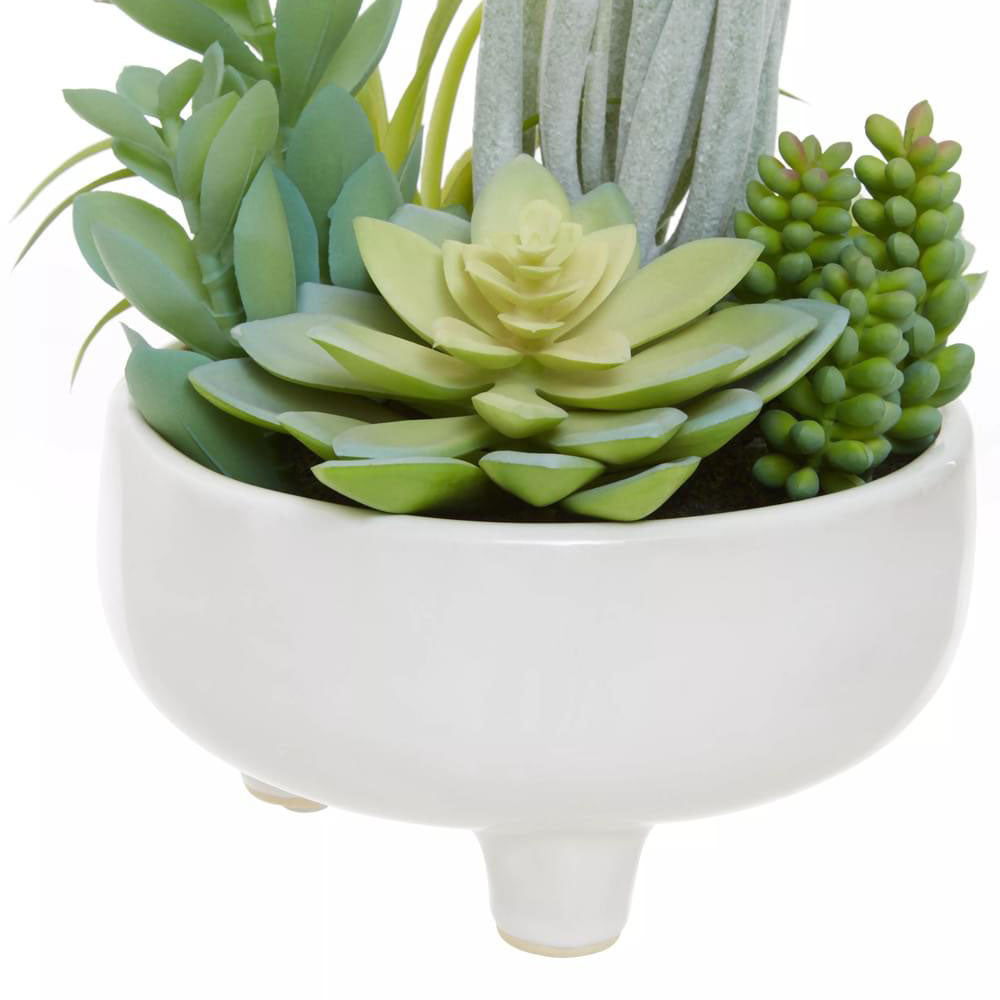 Fiori Mixed Succulents In White Large Ceramic Pot