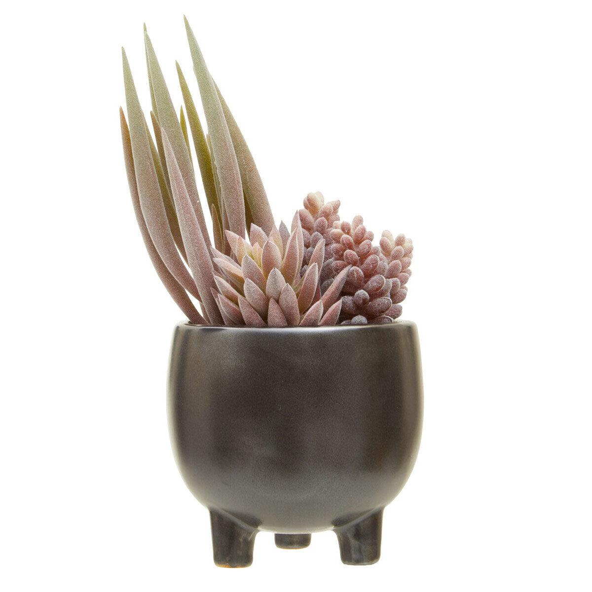 Fiori Mixed Succulents In Grey Small Ceramic Pot