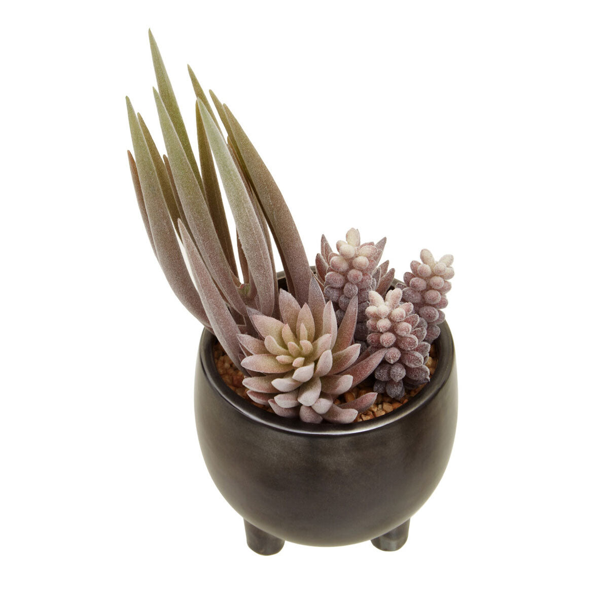Fiori Mixed Succulents In Grey Small Ceramic Pot
