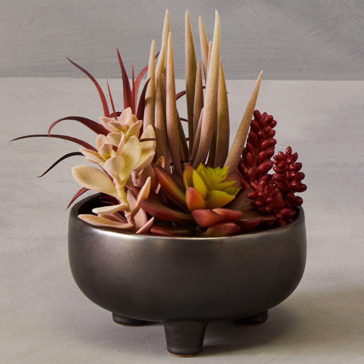 Fiori Mixed Succulents In Large Grey Ceramic Pot