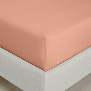 Bianca Clay 200TC Cotton Percale Fitted Sheet