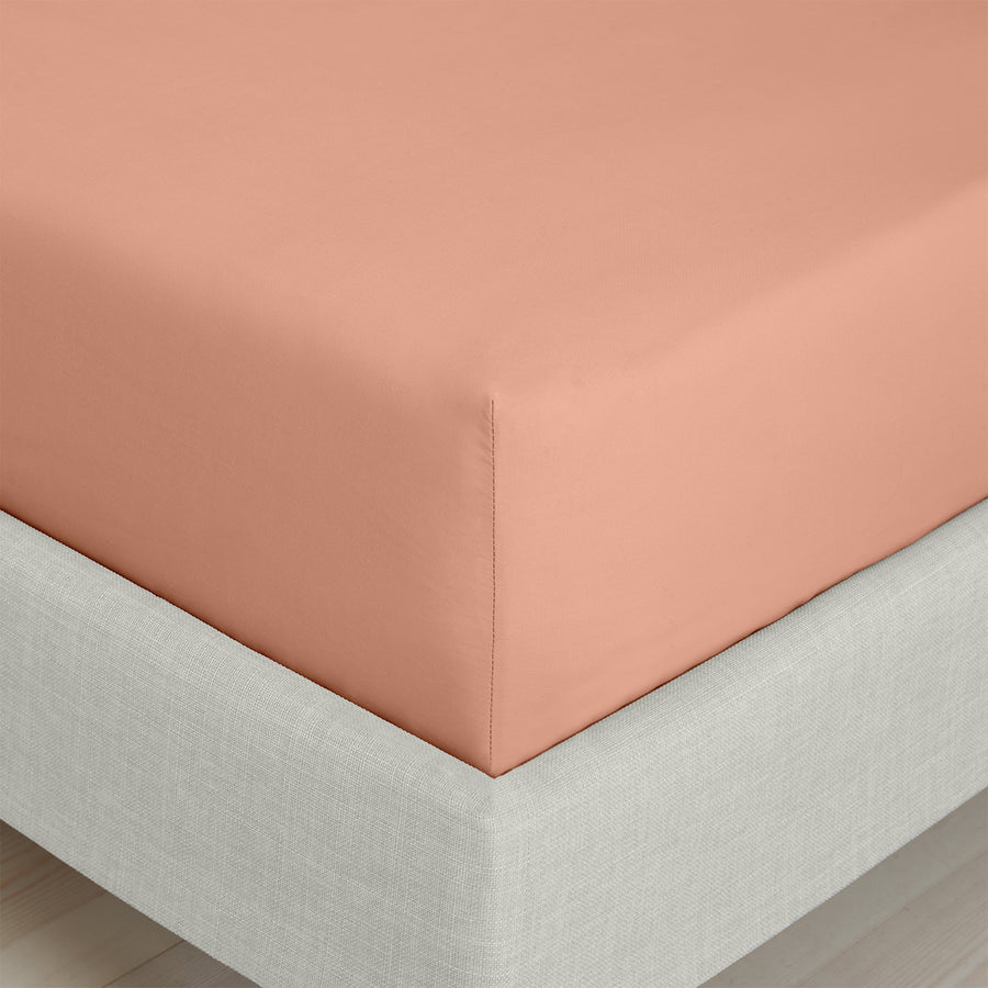 Bianca Clay 200TC Cotton Percale Fitted Sheet