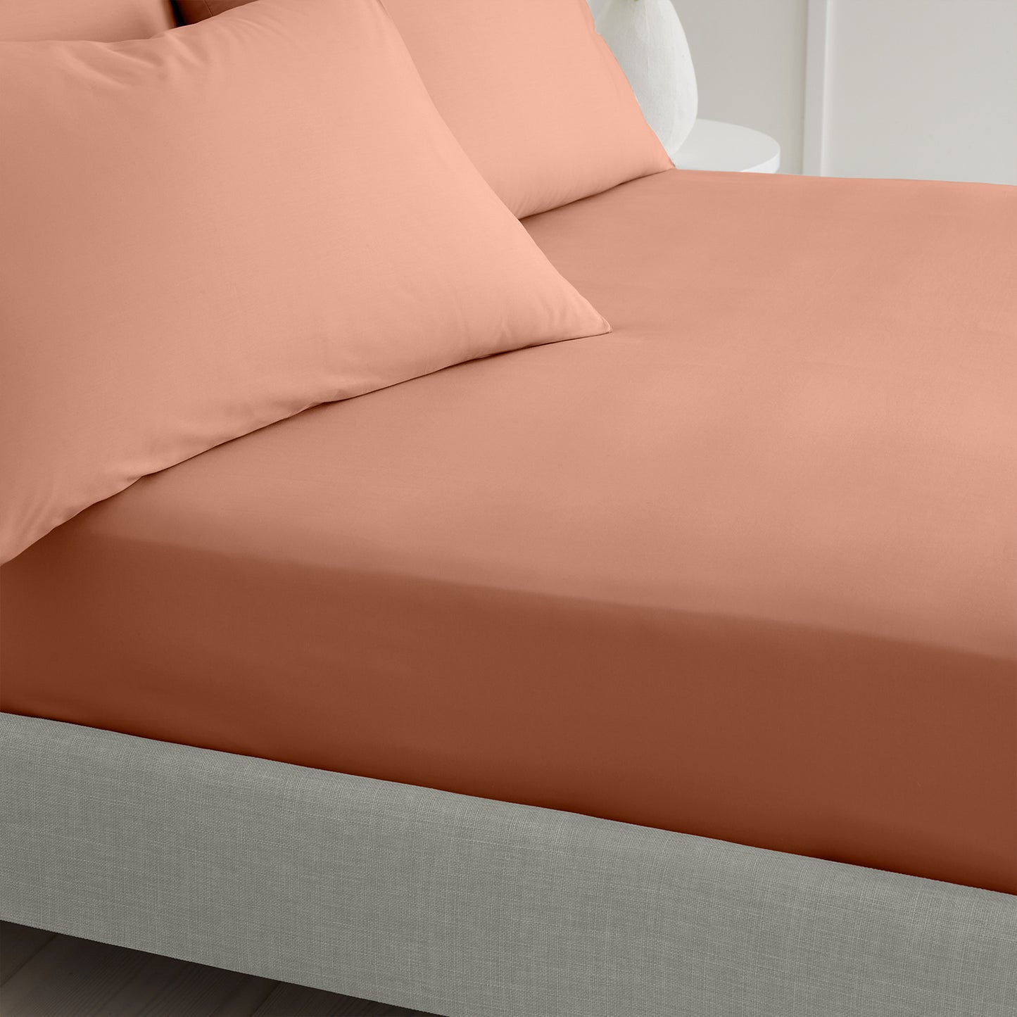 Bianca Clay 200TC Cotton Percale Fitted Sheet