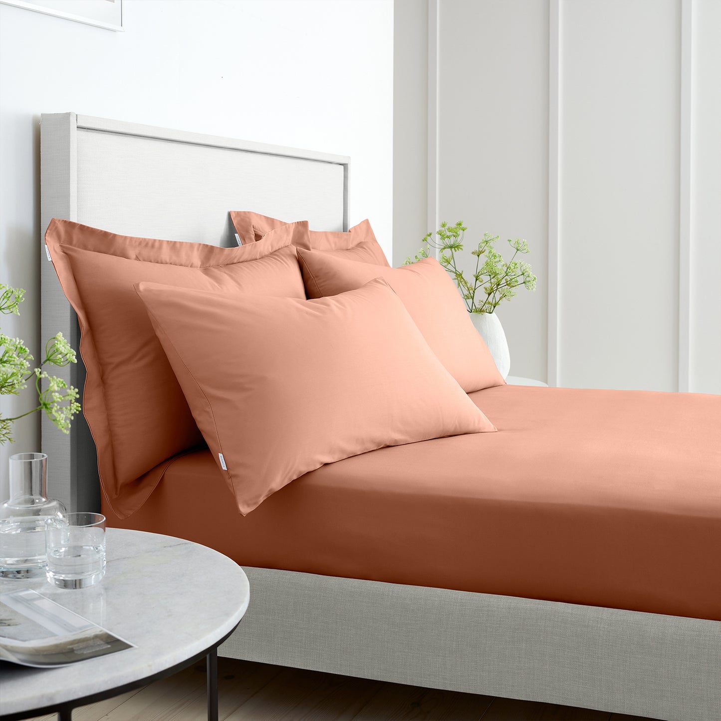 Bianca Clay 200TC Cotton Percale Fitted Sheet