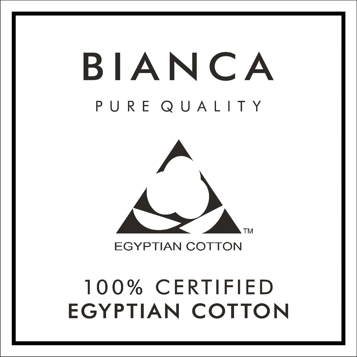 Bianca Charcoal Grey 180TC Egyptian 100% Cotton Duvet Set