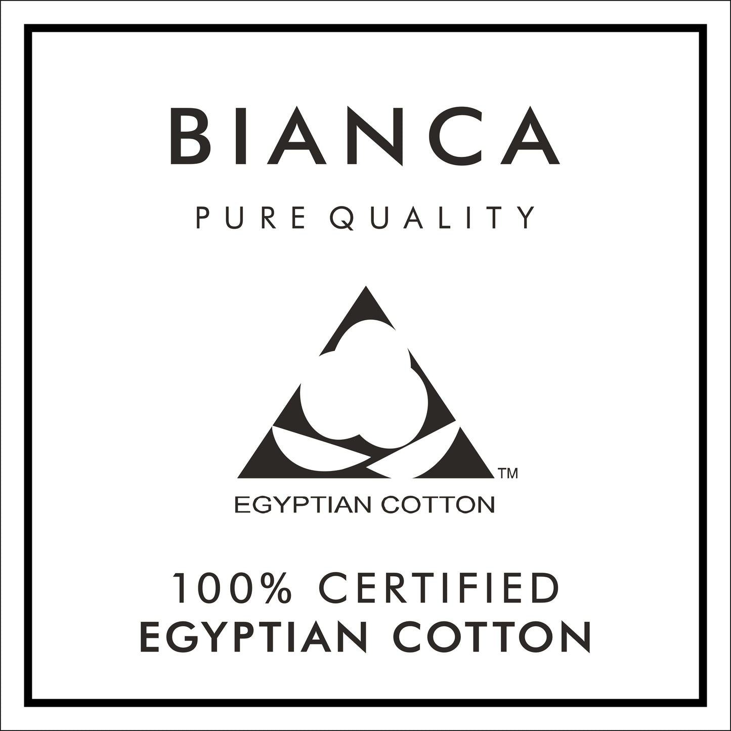 Bianca White 180 Thread Count Egyptian 100% Cotton Oxford Pillowcase