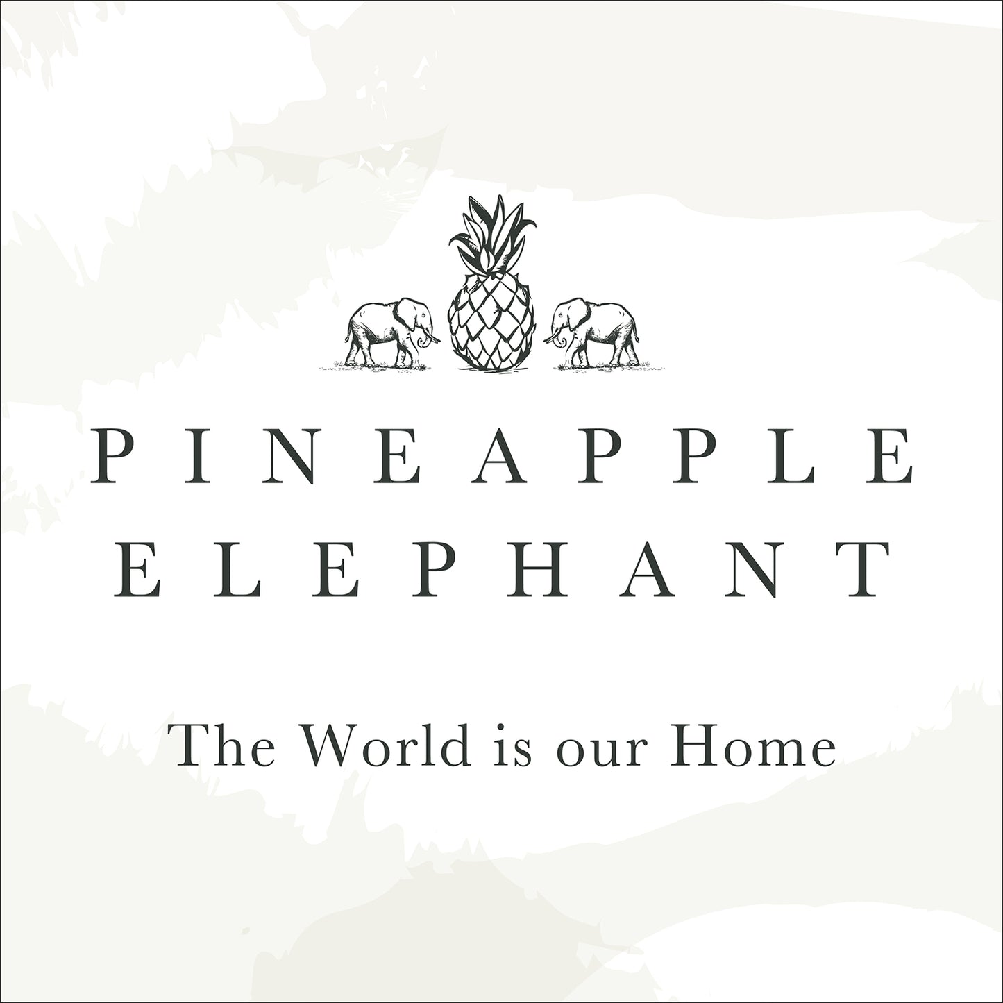 Pineapple Elephant Terracotta Textured Frayed Edge Placemat Pair