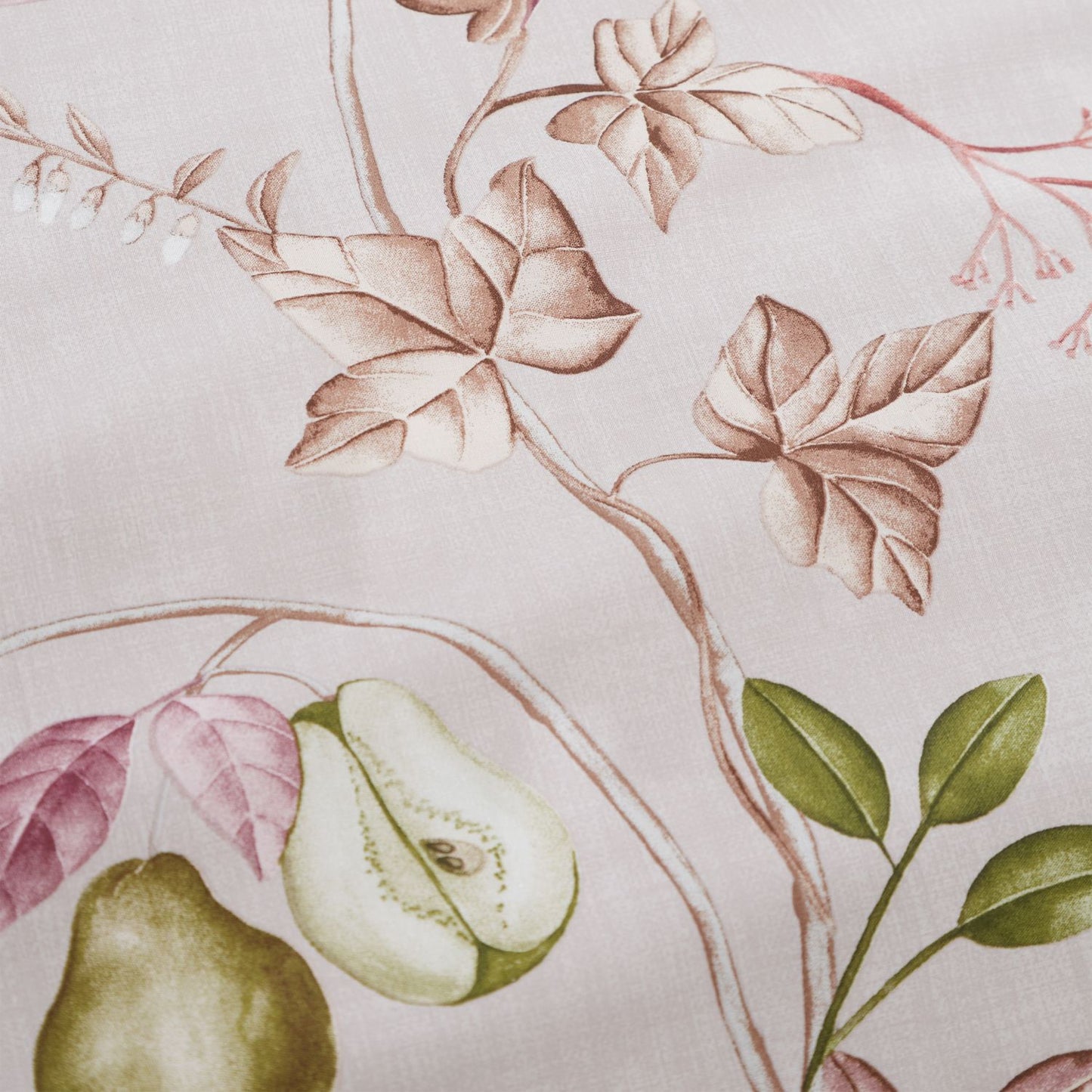 Bianca Francesca Floral Cream/Pink 200TC Cotton Reversible Duvet Set