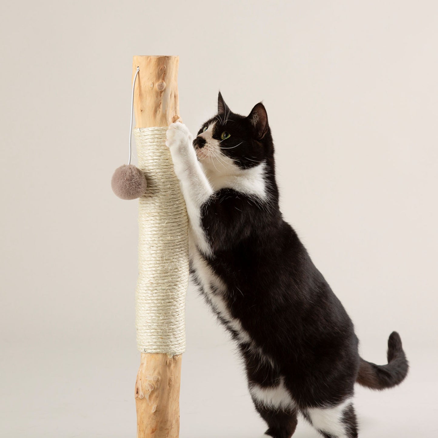 Scruffs Rockies Taupe Cat Scratching Tree